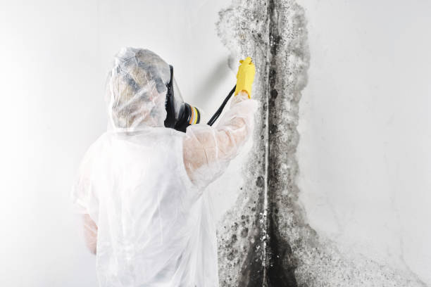 Best Ceiling water damage repair  in Cecilia, LA